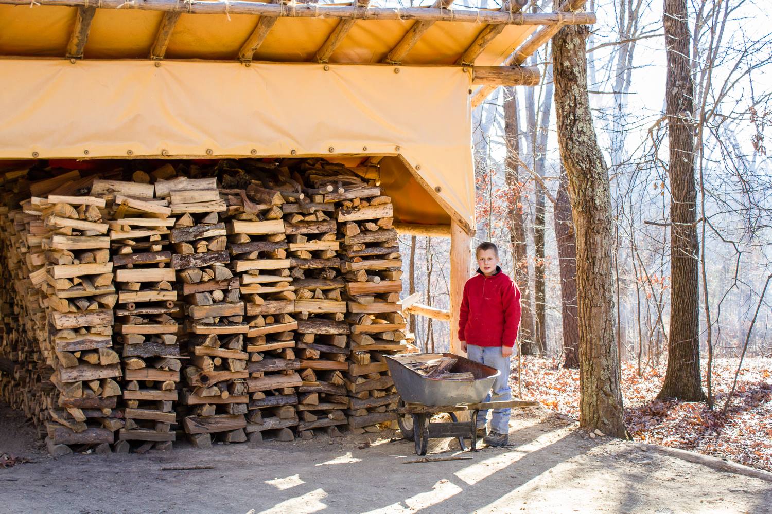 Splitting Wood Allegany Boys Camp