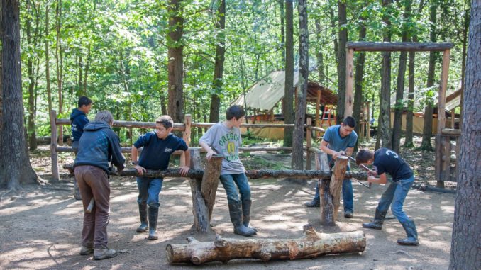 boys cutting wood with bow saws